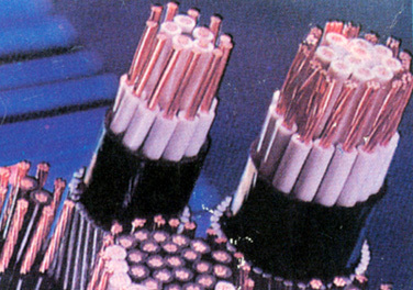 特种电缆推荐 船用电缆（CEFR）详解与应用指南